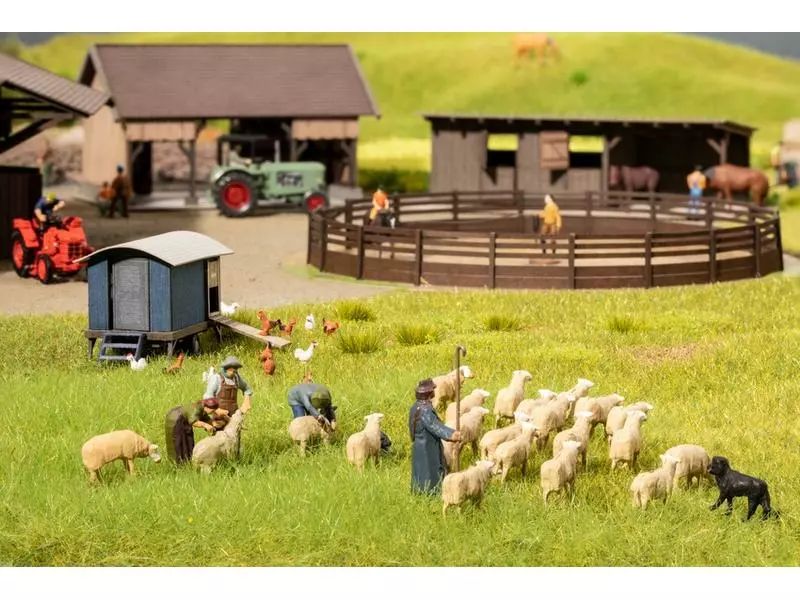 NOCH Figuren Schafe scheren H0 4 NOCH Figuren Schafe scheren H0 – Bild 2
