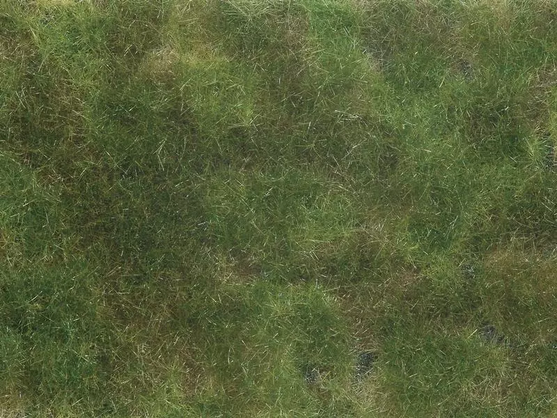 NOCH Begrasung Bodendecker olivgrün 12 x 18 cm H0 3 NOCH Begrasung Bodendecker olivgrün 12 x 18 cm H0