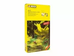 NOCH Vegetations-Startset, Wald H0