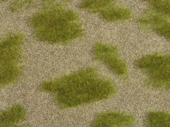 NOCH Natur+ Grassteppe 25 x 25 cm , H0 -Modelleisenbahnen Verkäufe 213624895 xxl