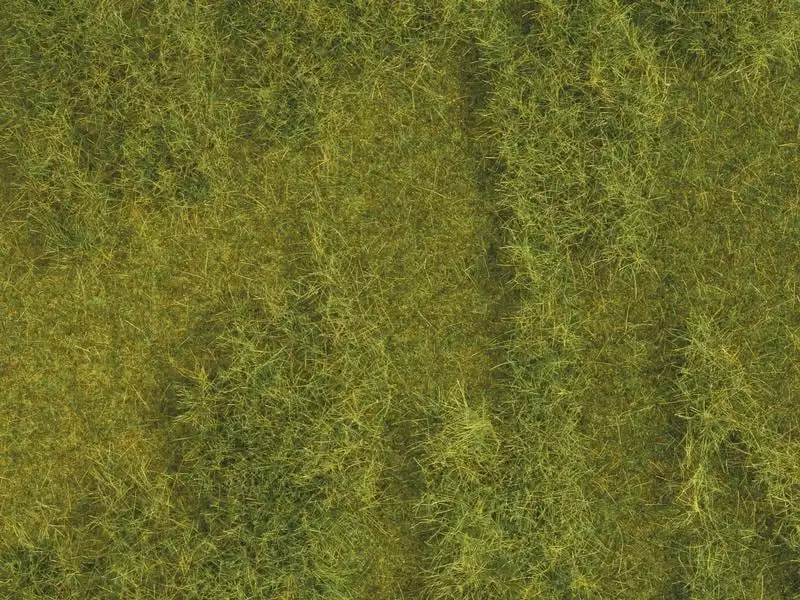 NOCH Natur+ Saftige Wiese 25 x 25 cm , H0 4 NOCH Natur+ Saftige Wiese 25 x 25 cm , H0 – Bild 2