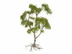 NOCH Vergessener Ort, Brunnen, H0 -Modelleisenbahnen Verkäufe 230900210 xxl