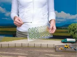 NOCH Grasbüschel blühend 15 NOCH Grasbüschel blühend -Modelleisenbahnen Verkäufe 56377042 xxl