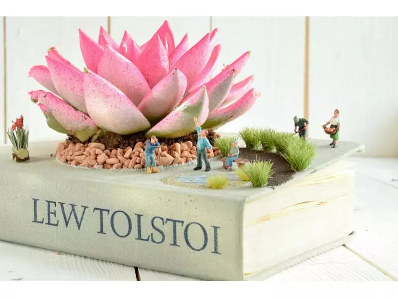 NOCH Grasbüschel blühend 5 NOCH Grasbüschel blühend – Bild 3