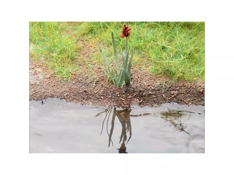 Deluxe Materials Modellwasser Aqua Magic 250 ml 4 Deluxe Materials Modellwasser Aqua Magic 250 ml – Bild 2