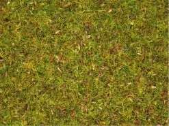 NOCH Blumenwiese 2.5 mm Blumenwiese