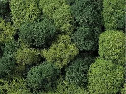 NOCH Moos Hell- und Dunkelgrün sortiert