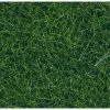 NOCH Wildgras 9 mm Dunkelgrün -Modelleisenbahnen Verkäufe 78018041 xxl