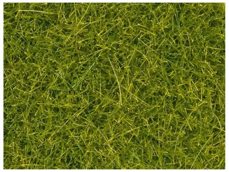 NOCH Streumaterial 4 mm, 20 g Gras Hellgrün 3 NOCH Streumaterial 4 mm, 20 g Gras Hellgrün